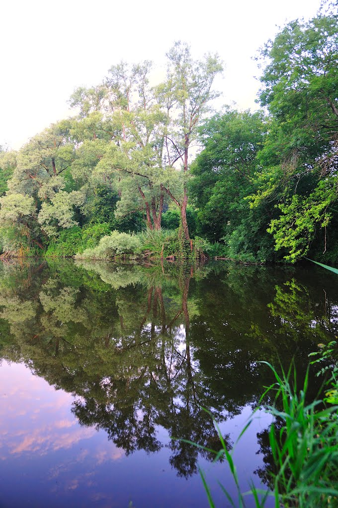 Etang de boulieu by randalain