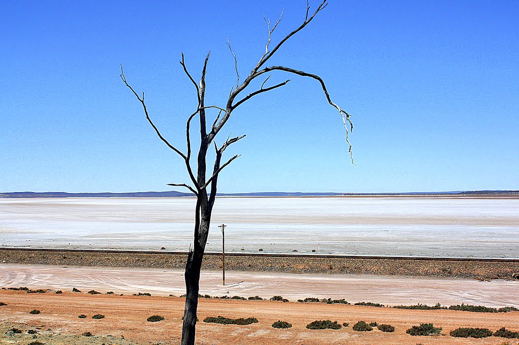 Australian landscape. by flyingdutchman