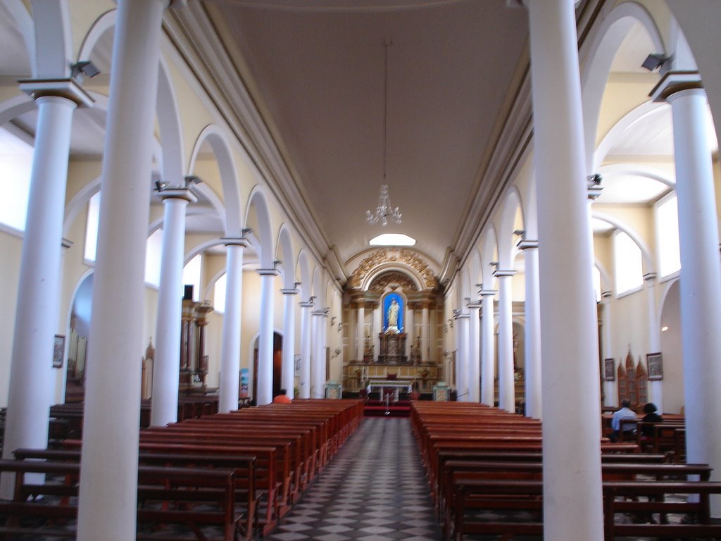 Interior Catedral de Copiapó by Sergio Reyes Niño