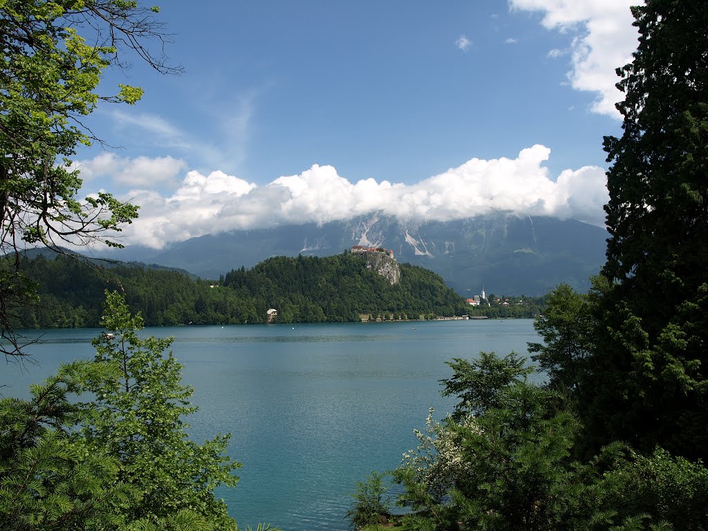 Bled lake by jirigary