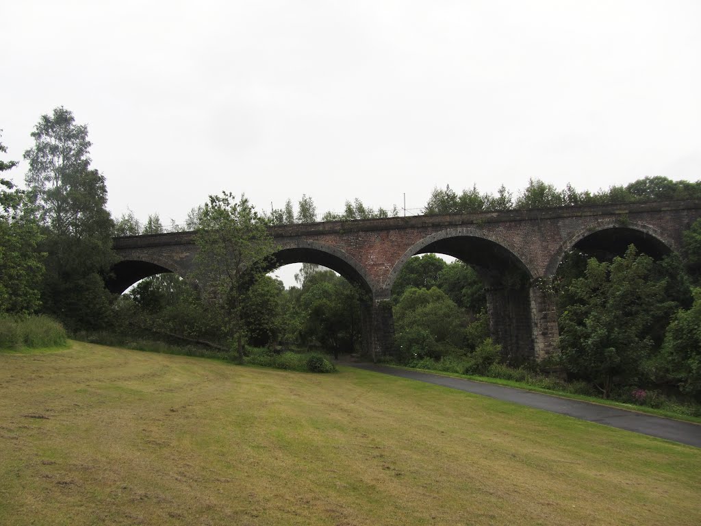 Kelvin Walkway.(1818) by Portmoreloch