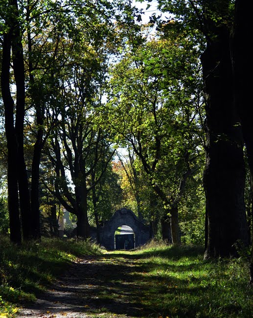 Złoty Potok, park przypałacowy by ewapl