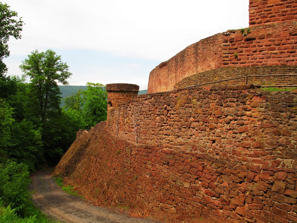 Neben der Burgruine Freudenberg (Freudenburg) by lebola