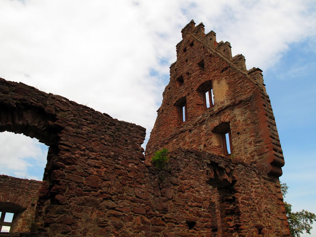 Die Reste des 1361 unter Graf Eberhard von Wertheim erbauten Palas der Freudenburg by lebola