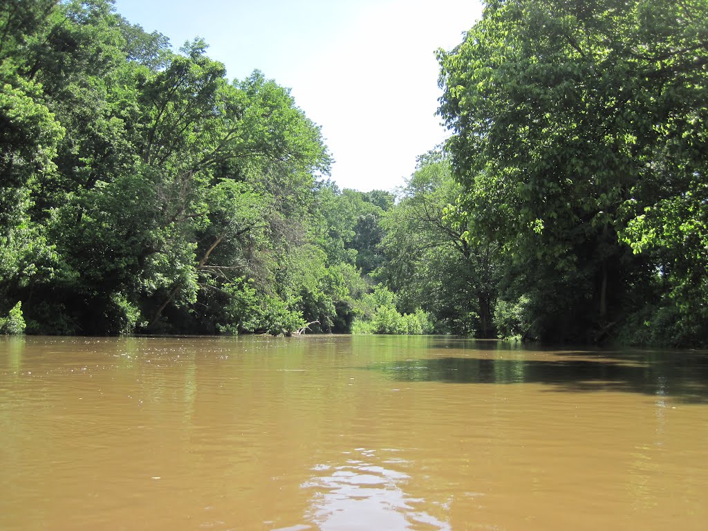 Dont let the flat water fool you, at this high level the water was still moving on the Goose by midatlanticriverrat