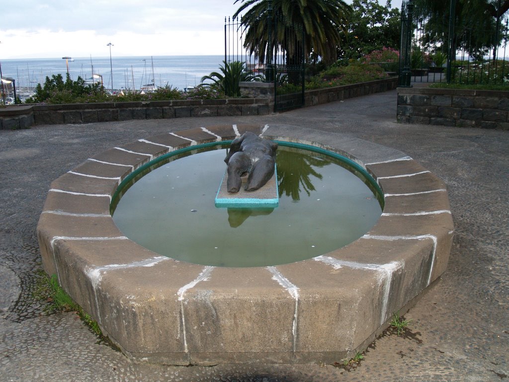 Parque de Santa Catarina·II, Funchal. Madeira by Gorka Aranzabal