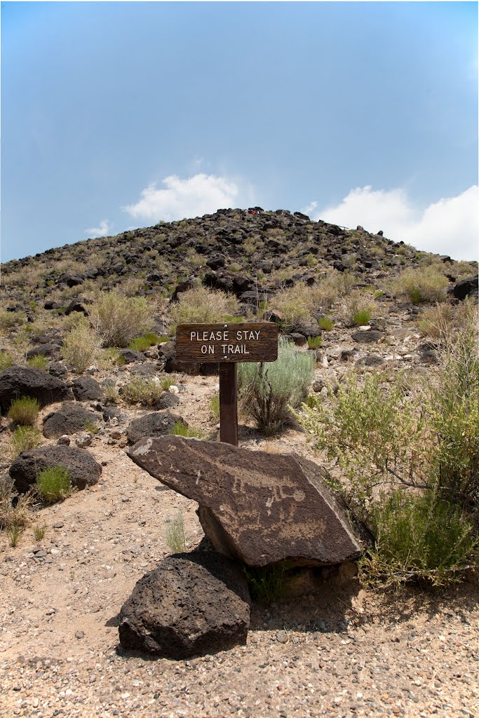 Petroglyph national park by ptiron