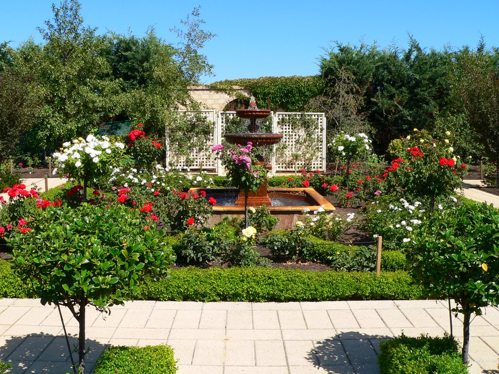 Secret Garden Abingdon by steve111