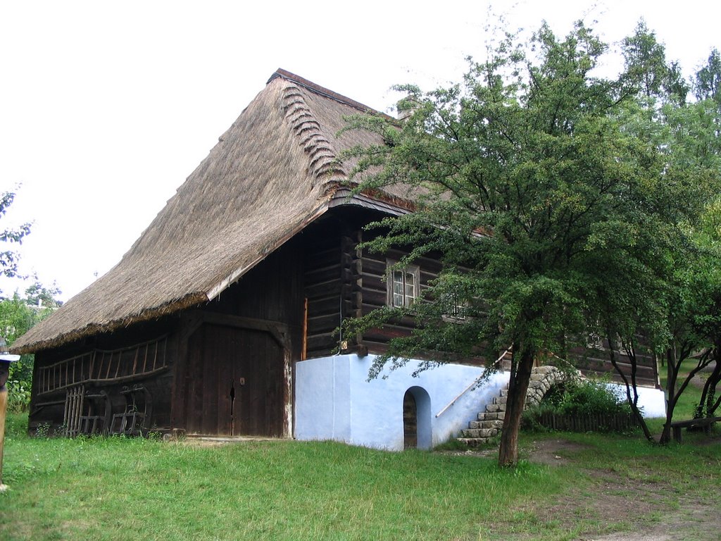 House with blue foundation - heritage park by AdSR