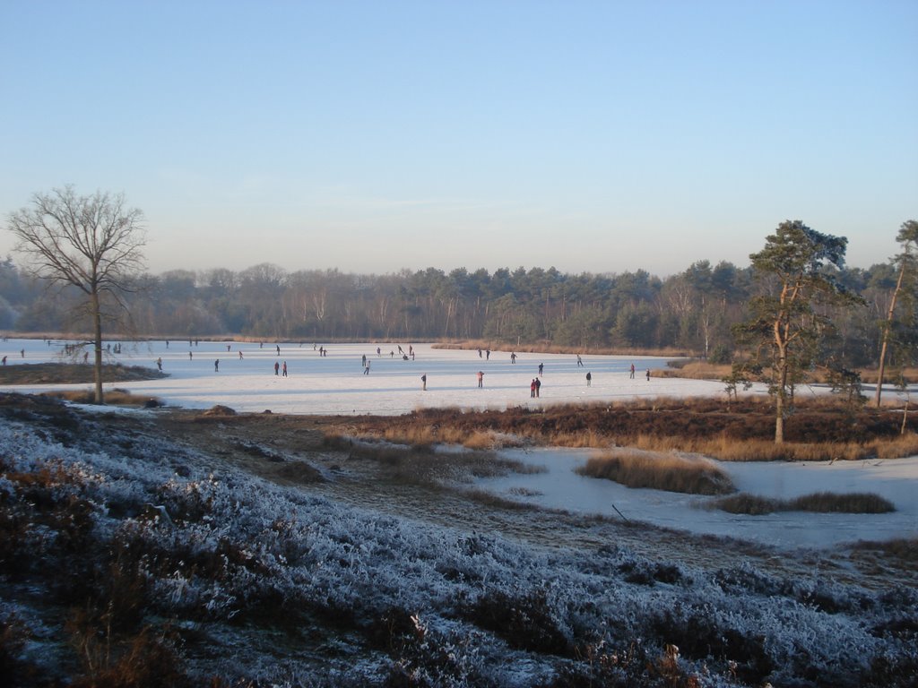 Winter in de Hatertse Vennen by wimvanderheijden