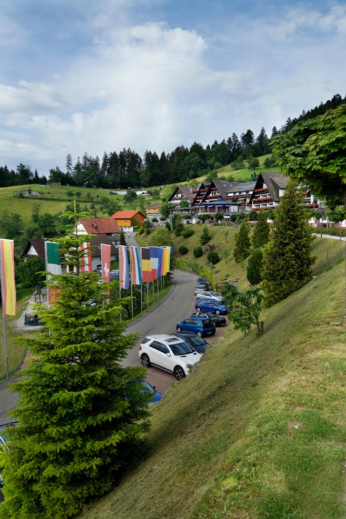 Forêt, accueil, panorama, c'est le Dollenberg ! by Henry Imbert