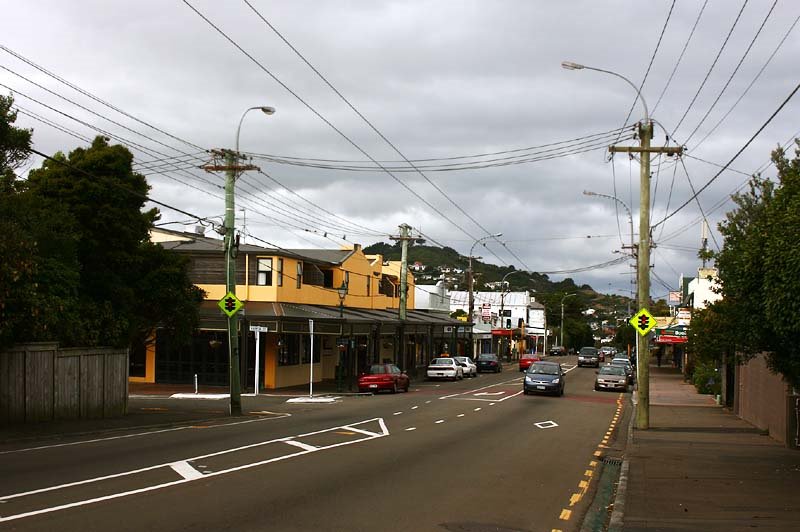 Karori Shops by Fritz Schöne