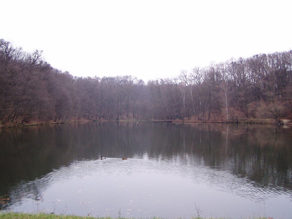 Jezero zimi (bez snijega:) by taxodium