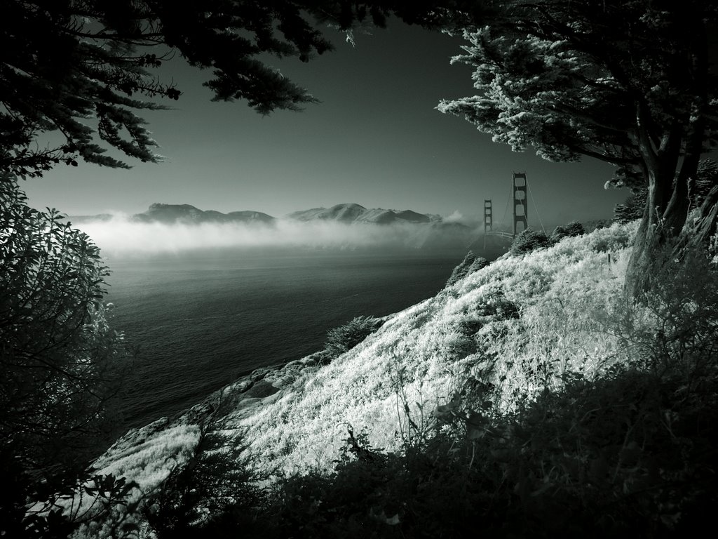 Golden Gate Bridge (Infrared Picture) by Michael Goermann