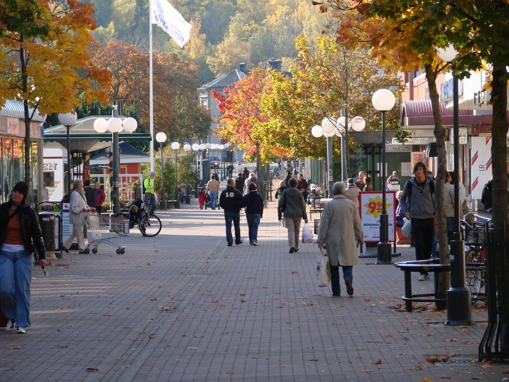 Norra Söderhamn, Söderhamn, Sweden by oljaolja