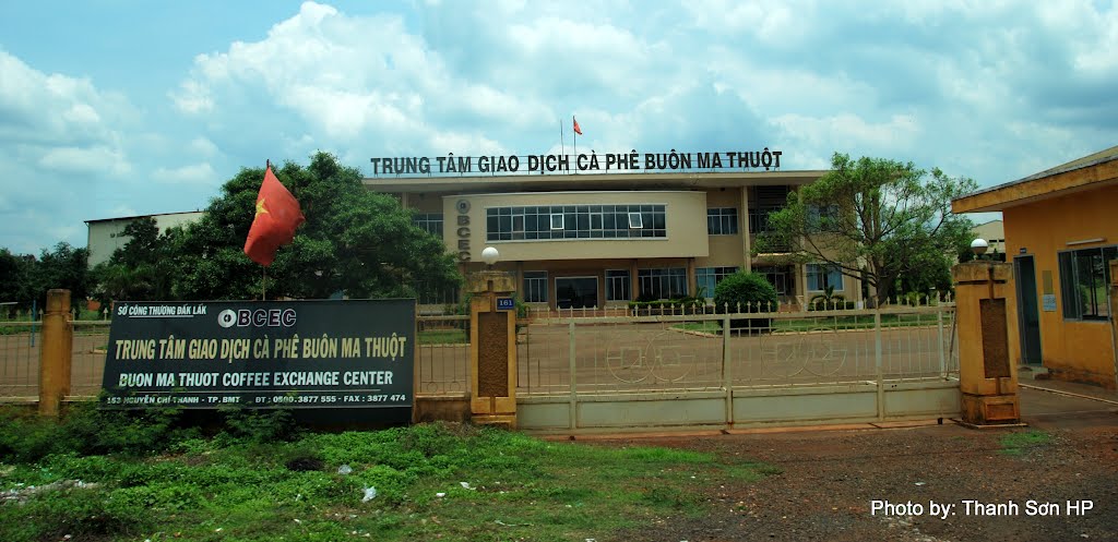 Trung tâm giao dịch cà phê Buôn Ma Thuột by Nguyễn Thanh Sơn