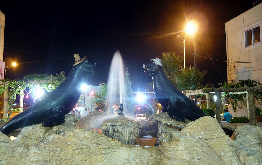 Remzi ustanın yerinden gece görüntüler - Taşucu (Mersin) by ismail38_1903