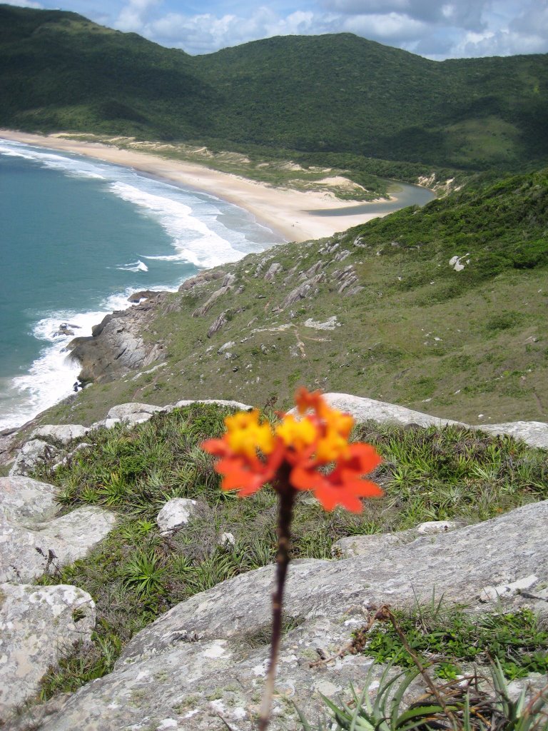 Vista da Lagoinha do Leste by Cappelini