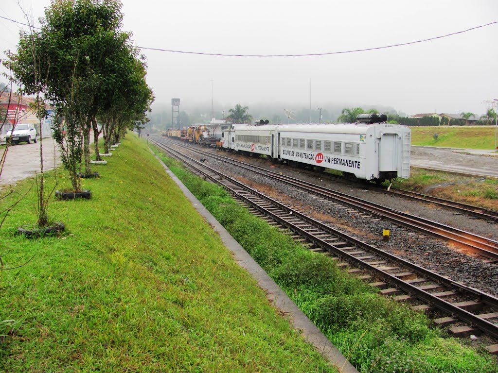 VAGÕES NA ESTAÇÃO DE MONTE CASTELO by Sidnei Recco