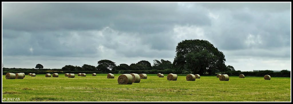 Bales of straw by Nahoon