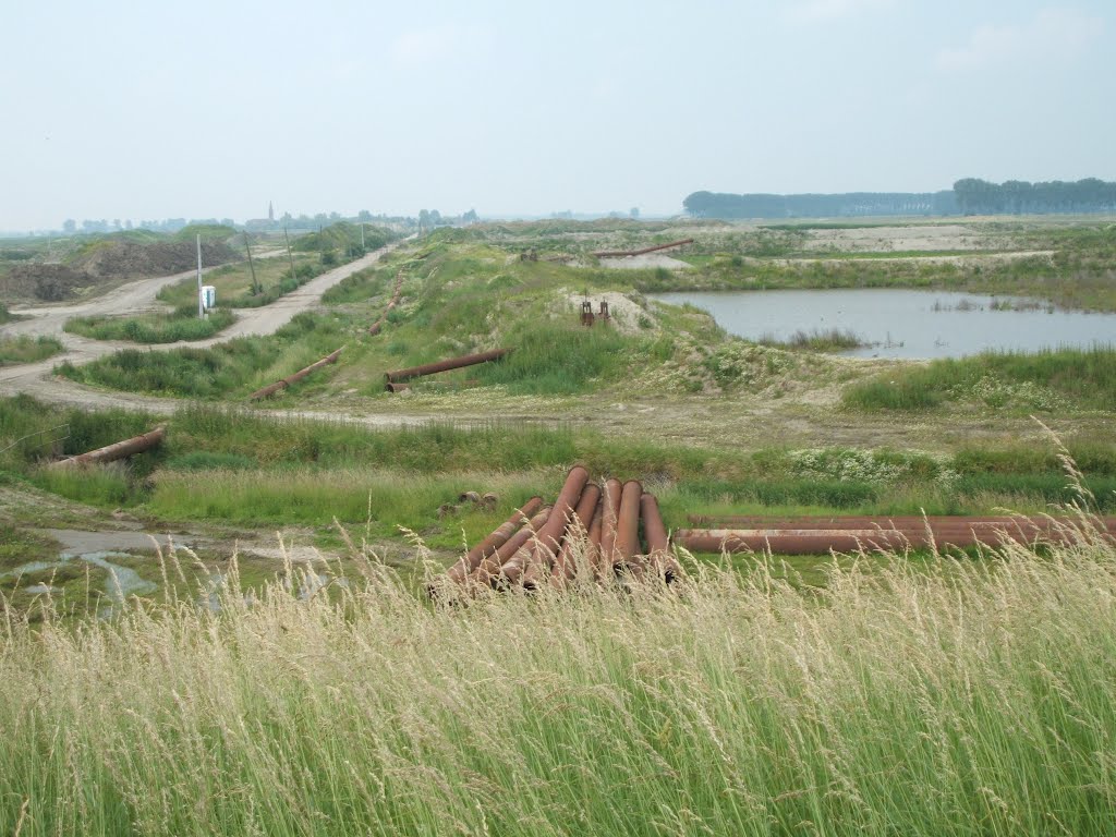 Natuurcompensatiegebied in Doel by lakboom