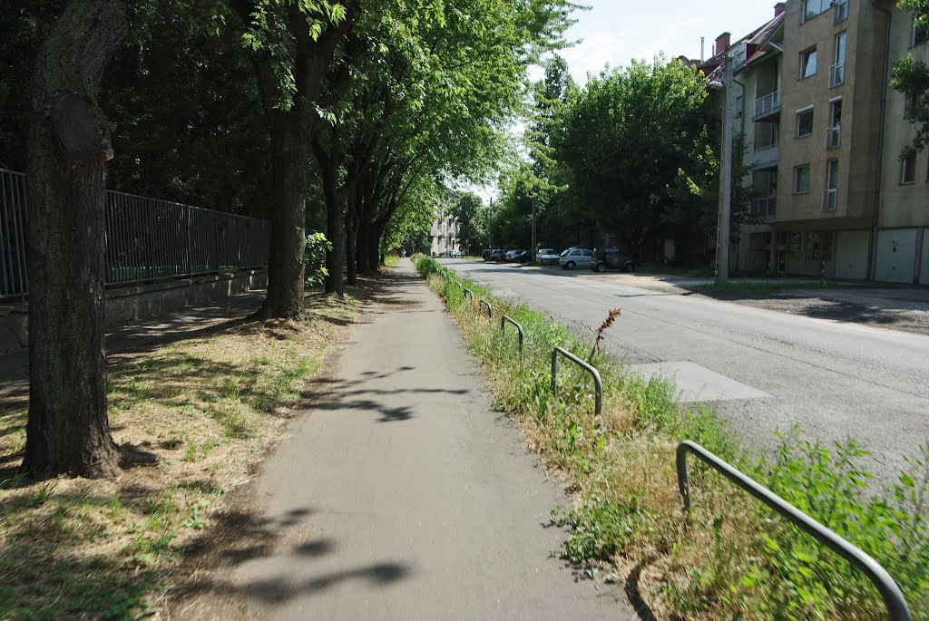 Angyalföld utcakép streetview 2012/06/23 by hatja-budapest