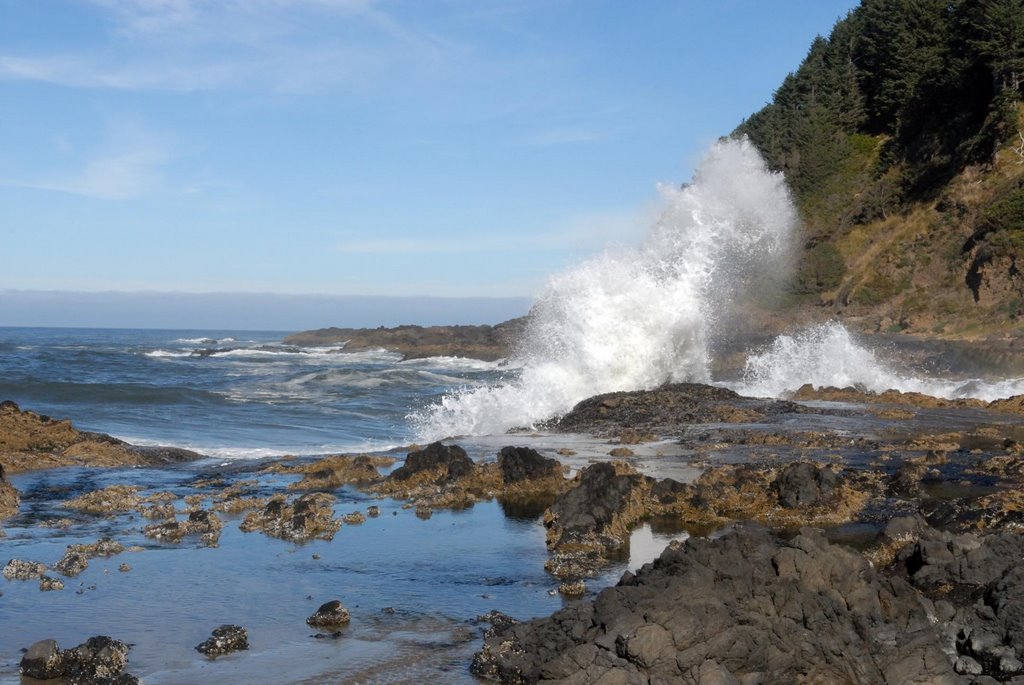 Cape Perpetua by garydj