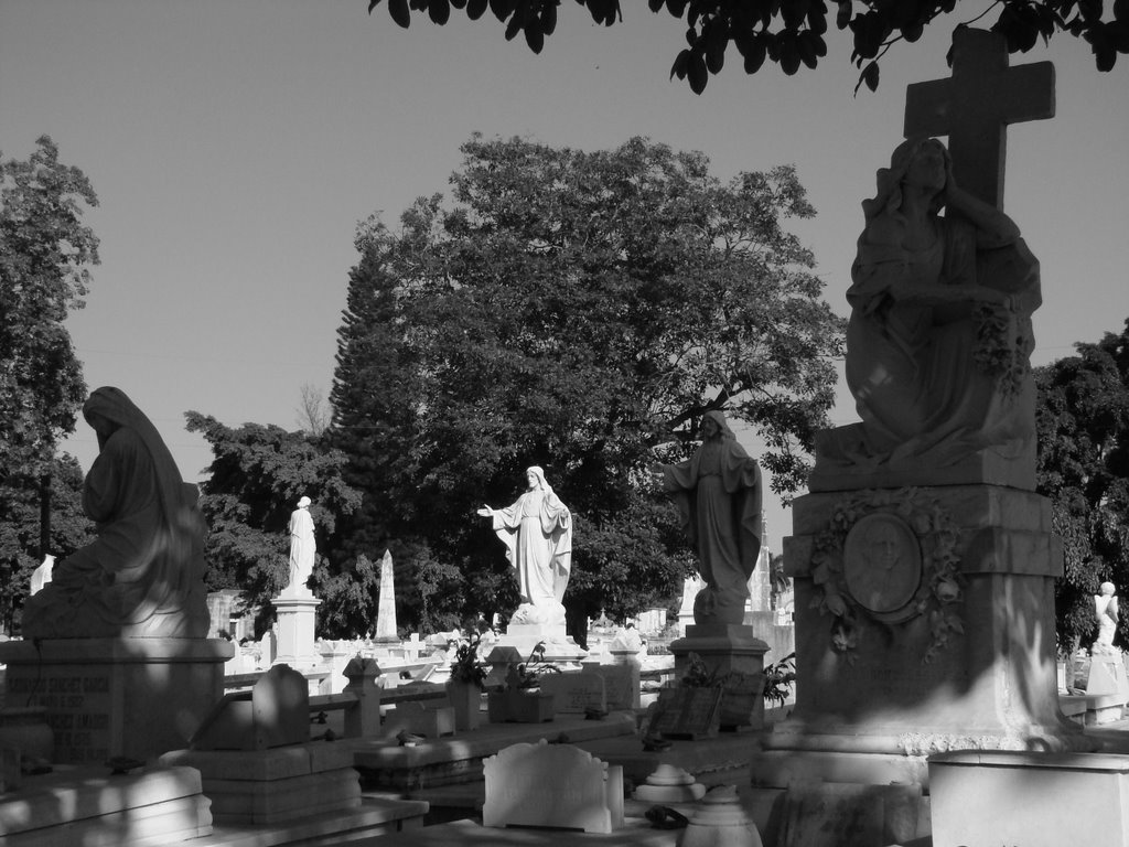 Colón Cemetary - La Habana by roxy_lady