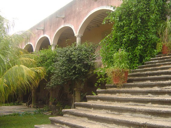 Hacienda Tepich, ofrece guisos basados en Pavo y Conejo que se crian ahí mismo. Yucatan. by Pollo de Pelos