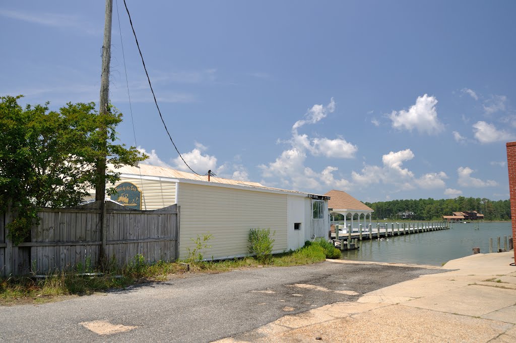 VIRGINIA: SEAFORD: view from Mills Marina over Back River by Douglas W. Reynolds, Jr.