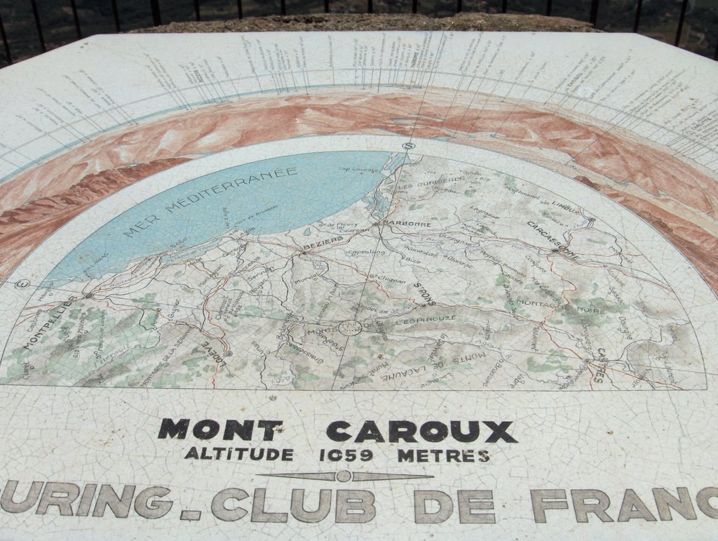 Plaque at Mont Caroux by Peter Mellor