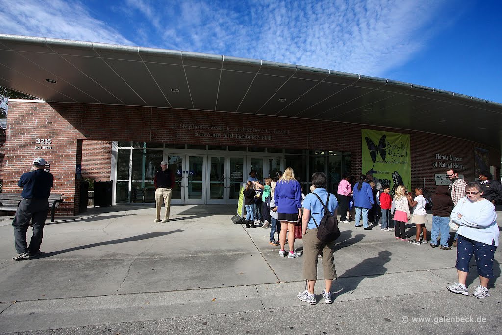 Florida Museum of Natural History by www.galenbeck.de