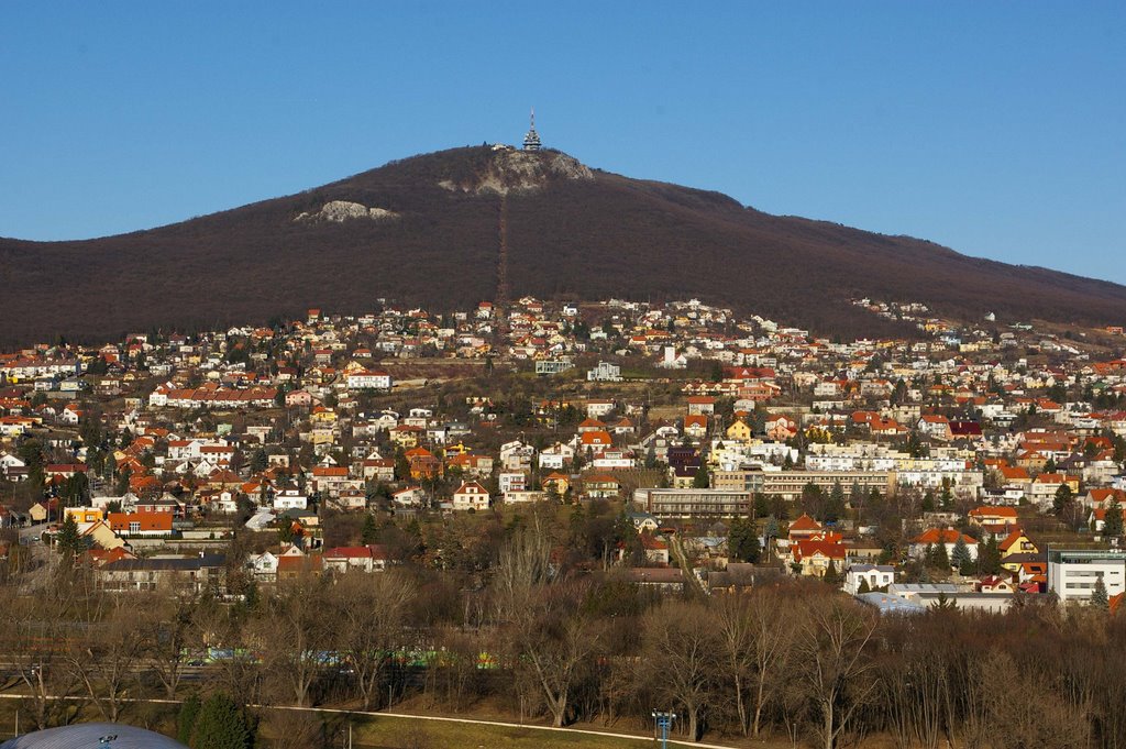 Zobor by Csiffáry Tamás