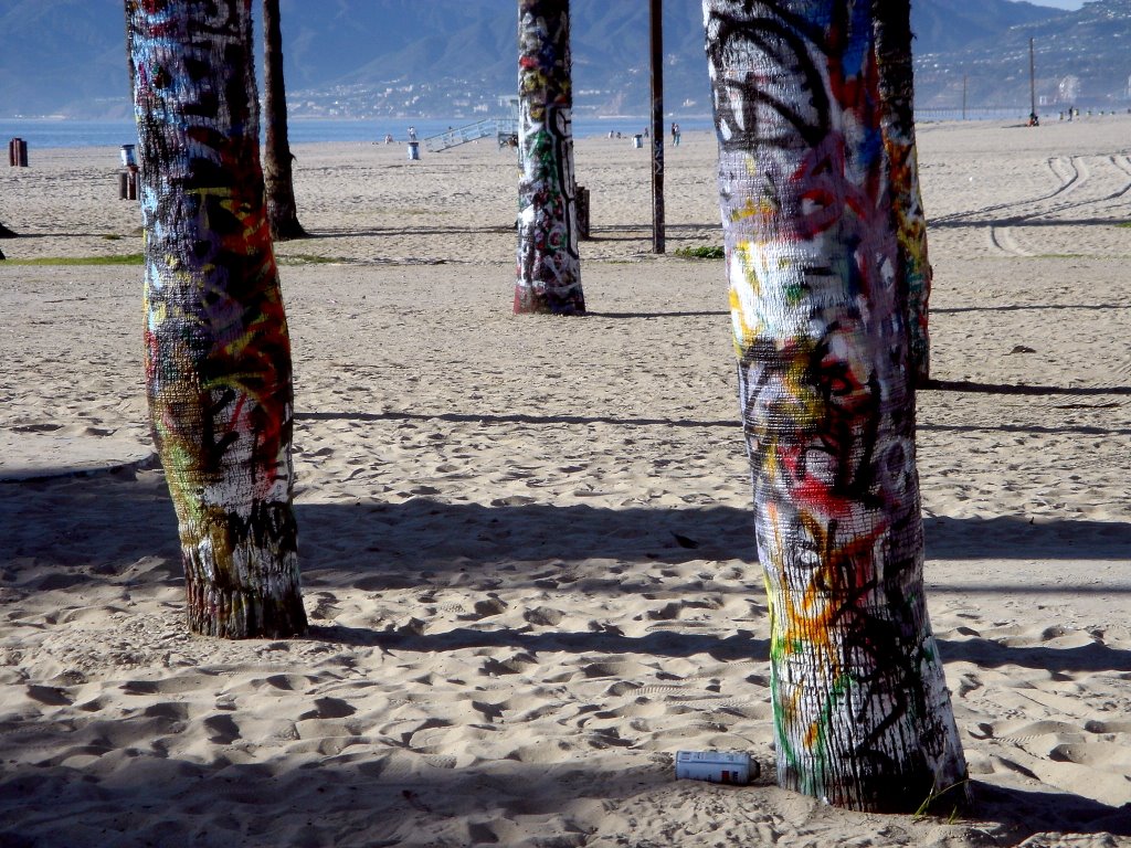 Graffitti Trees at Venice Beach, Los Angeles by Michael Goermann