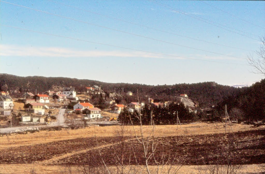 Lid ca. 1977 by H.Jelstad