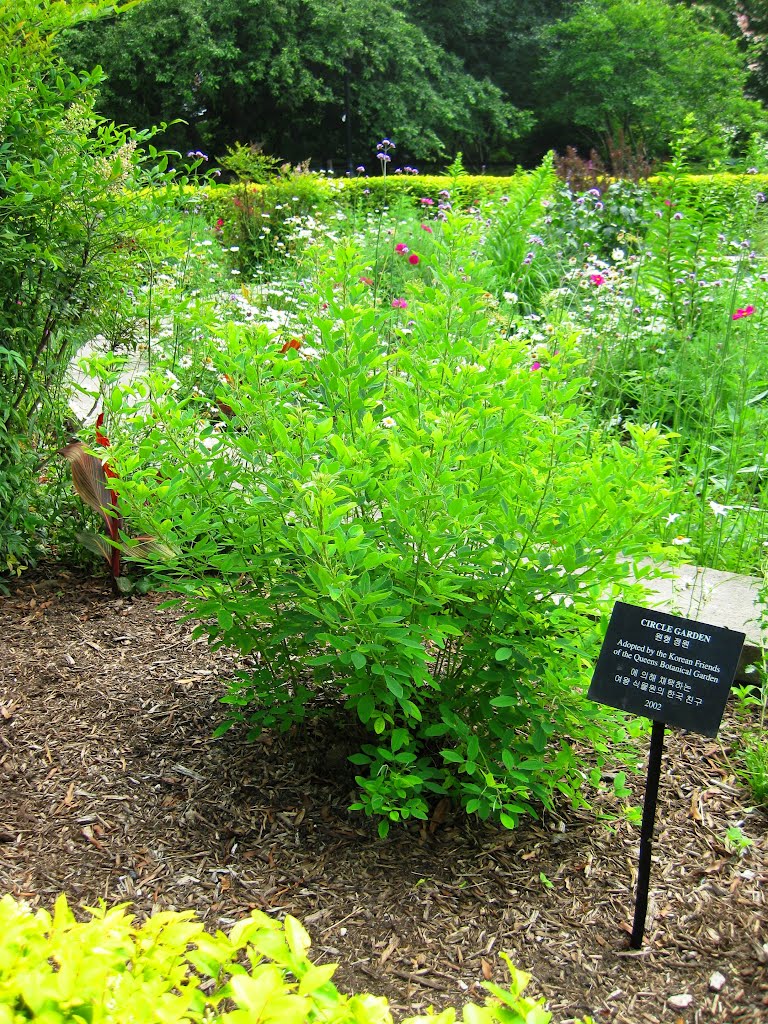 Circle Garden, Queens Botanical Garden by seo-young chu