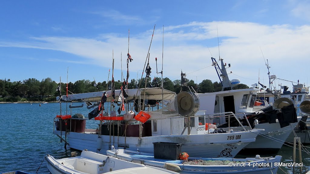 Fishing vessels at the harbor at Savudrija, Croatia by Maro Vinci