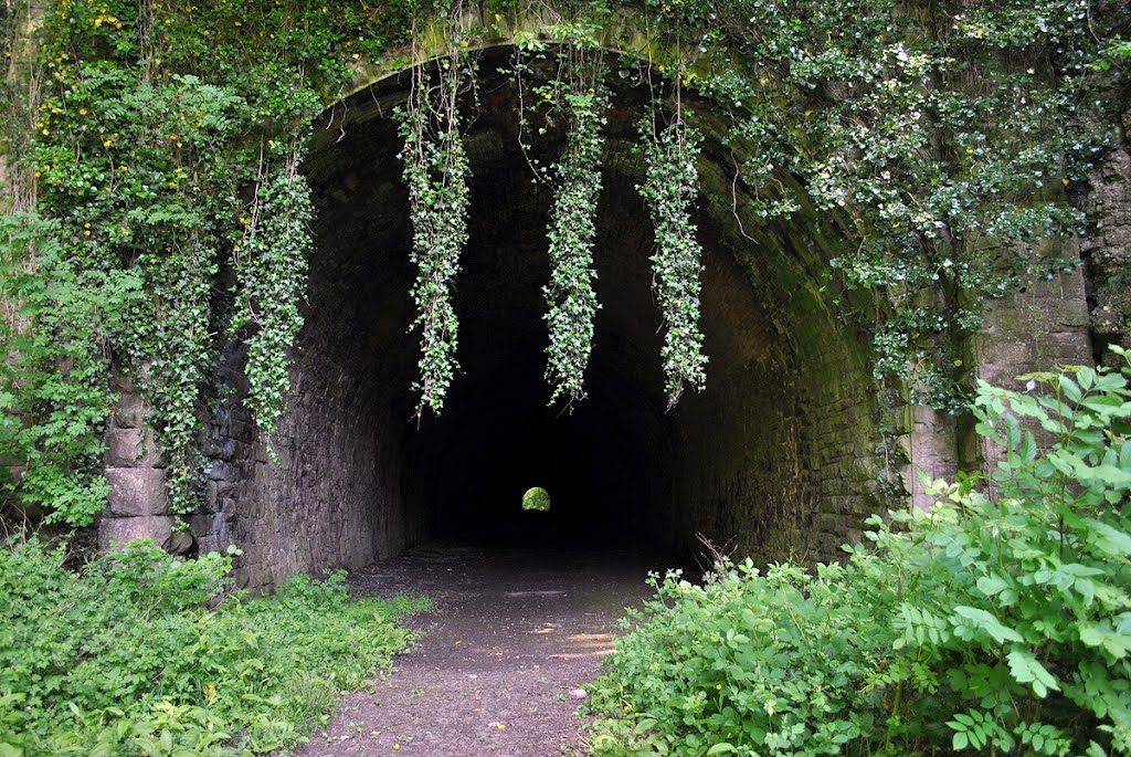 Old Railway Tunnel by hyperen