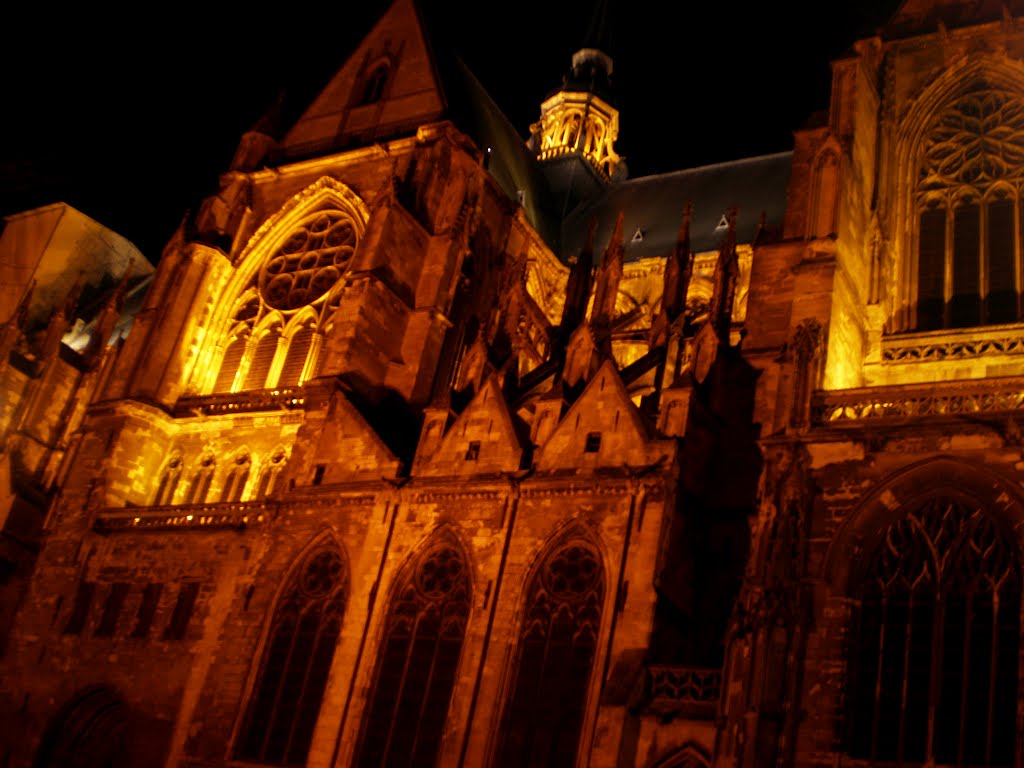 France-Saint-Quentin-Basilique Saint-Quentin by mladenipBG