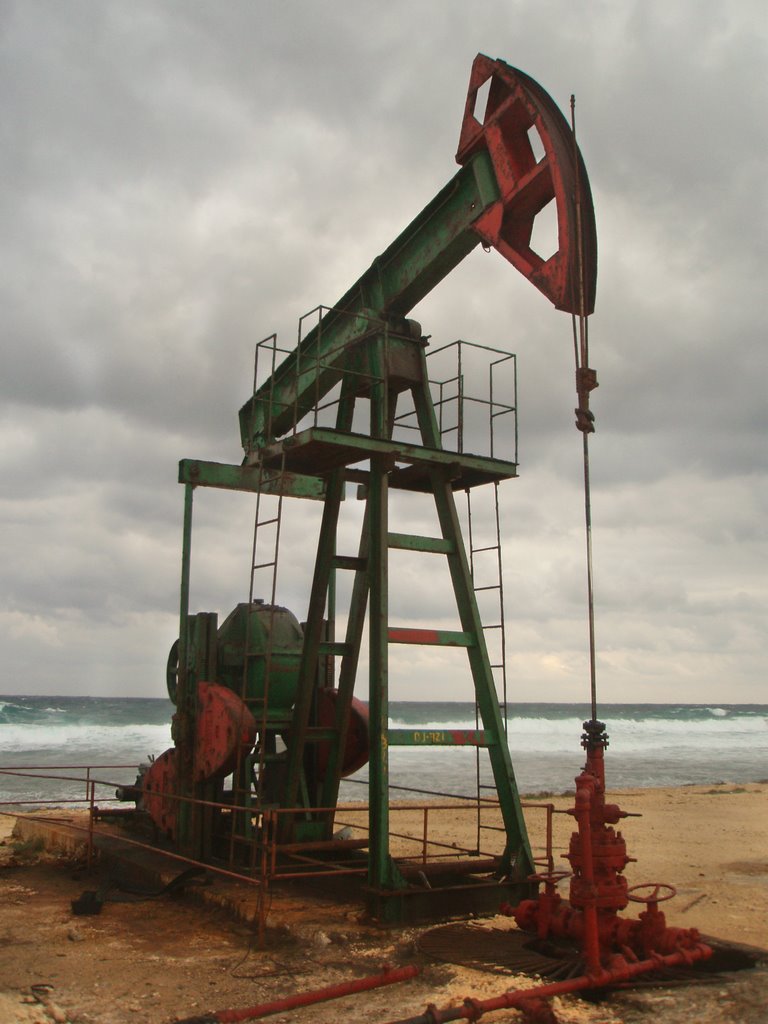 The oil pumpjack by IPAAT