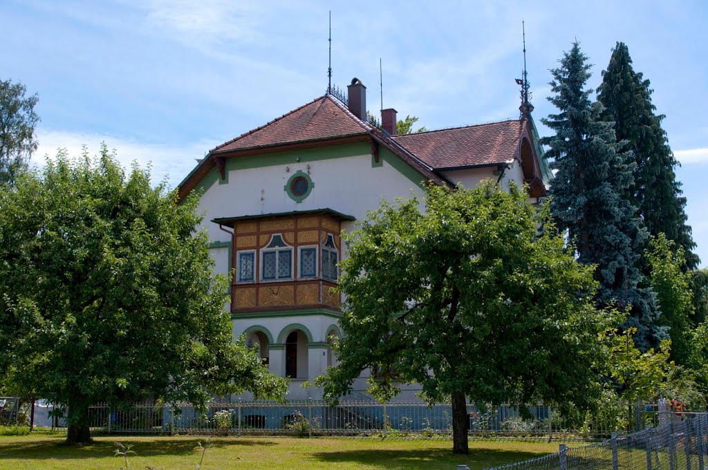 Villa (um 1900) by Michael Vogt