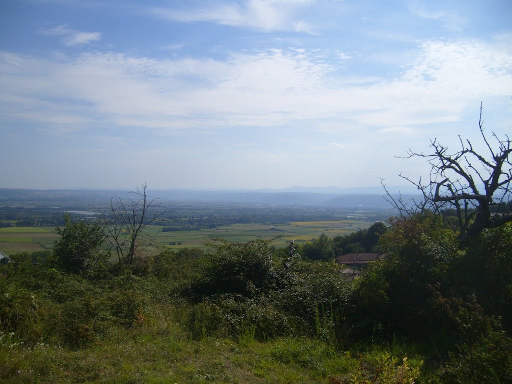 Vue sur la plaine depuis la tour d'Anjou (38) by Napoleon26