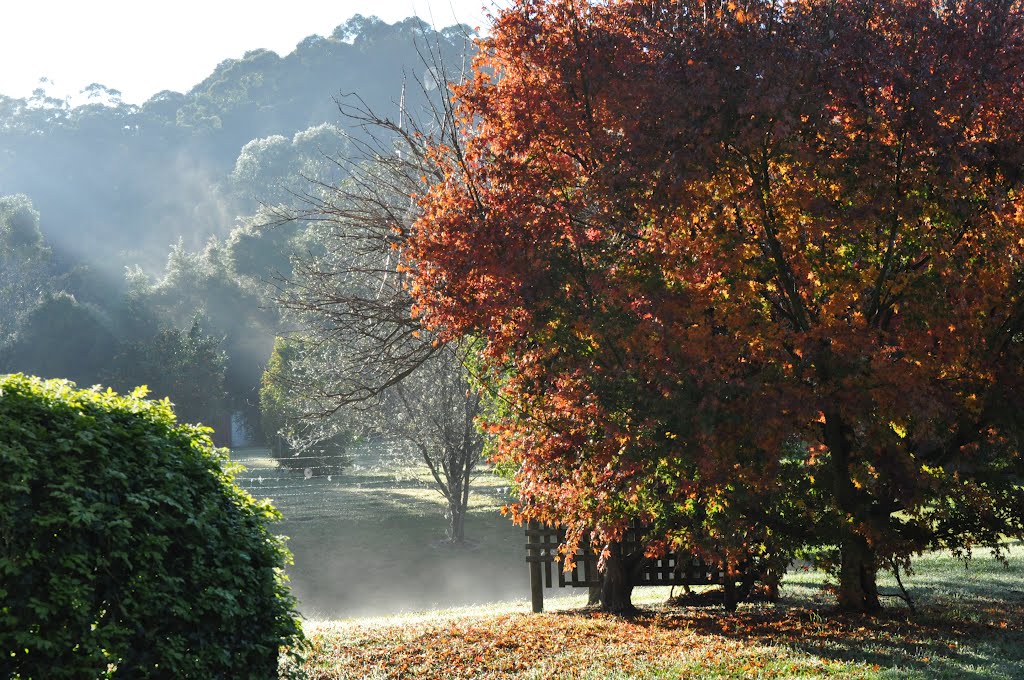 Sunny winters morning in Kew, NSW by ross.bate