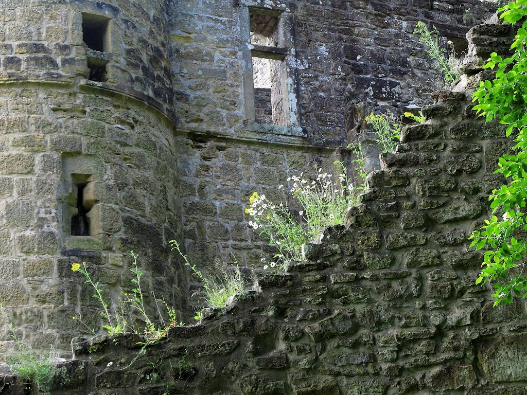 Mauer in der Schlossruine Beaufort by Alexkarl