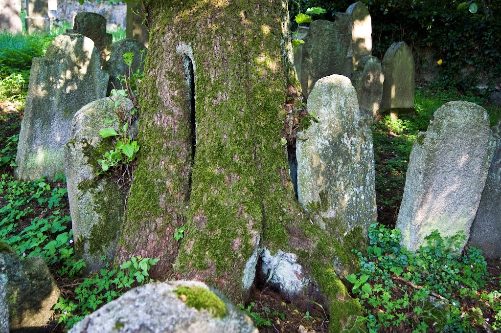 Floß - Jüdischer Friedhof by Pratomontanus