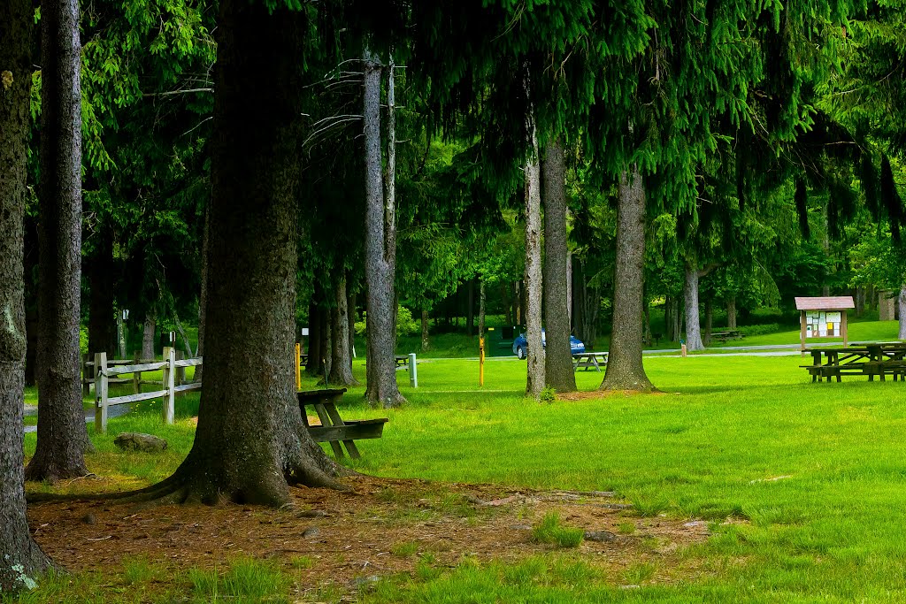 Promised Land State Park, PA by E.Chappell