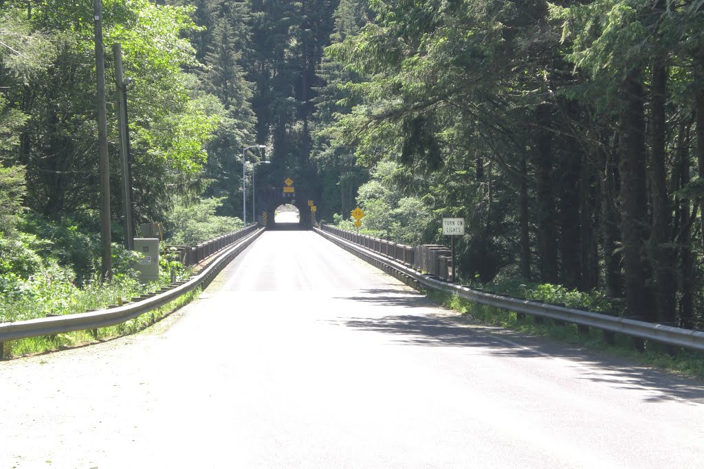 Bridge-Tunnel Highway 101 by AGW