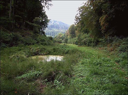 Feuchtgebiet Looch by Rico Braun