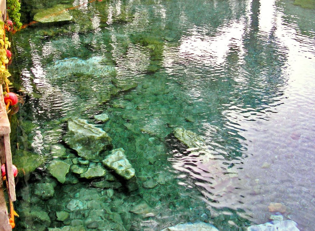 Piscina con restos arqueologicos by Jose Pelaez