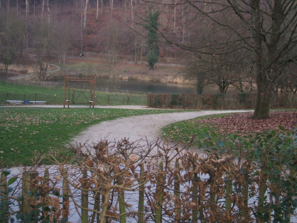 La forêt de soigne by boulaich